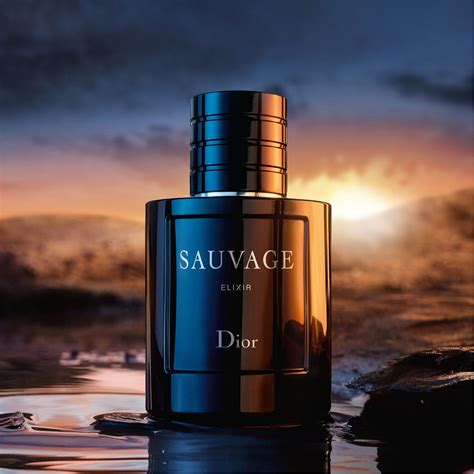 dior sauvage elixir 100ml price in india|dior elixir 100ml price.